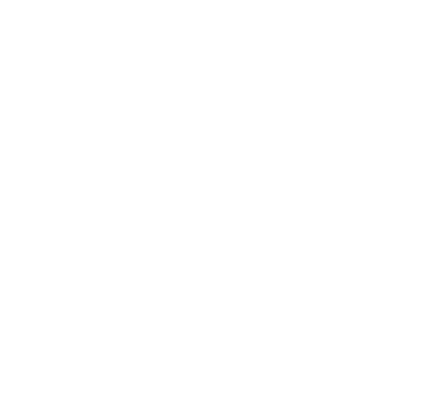 hollingsworth logo in white