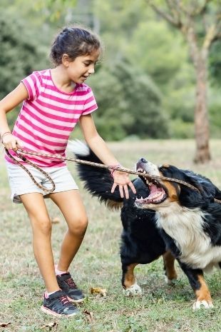 Small Girl with Dog Bite Attack | Hollingsworth & Hollingsworth Law Firm | San Diego