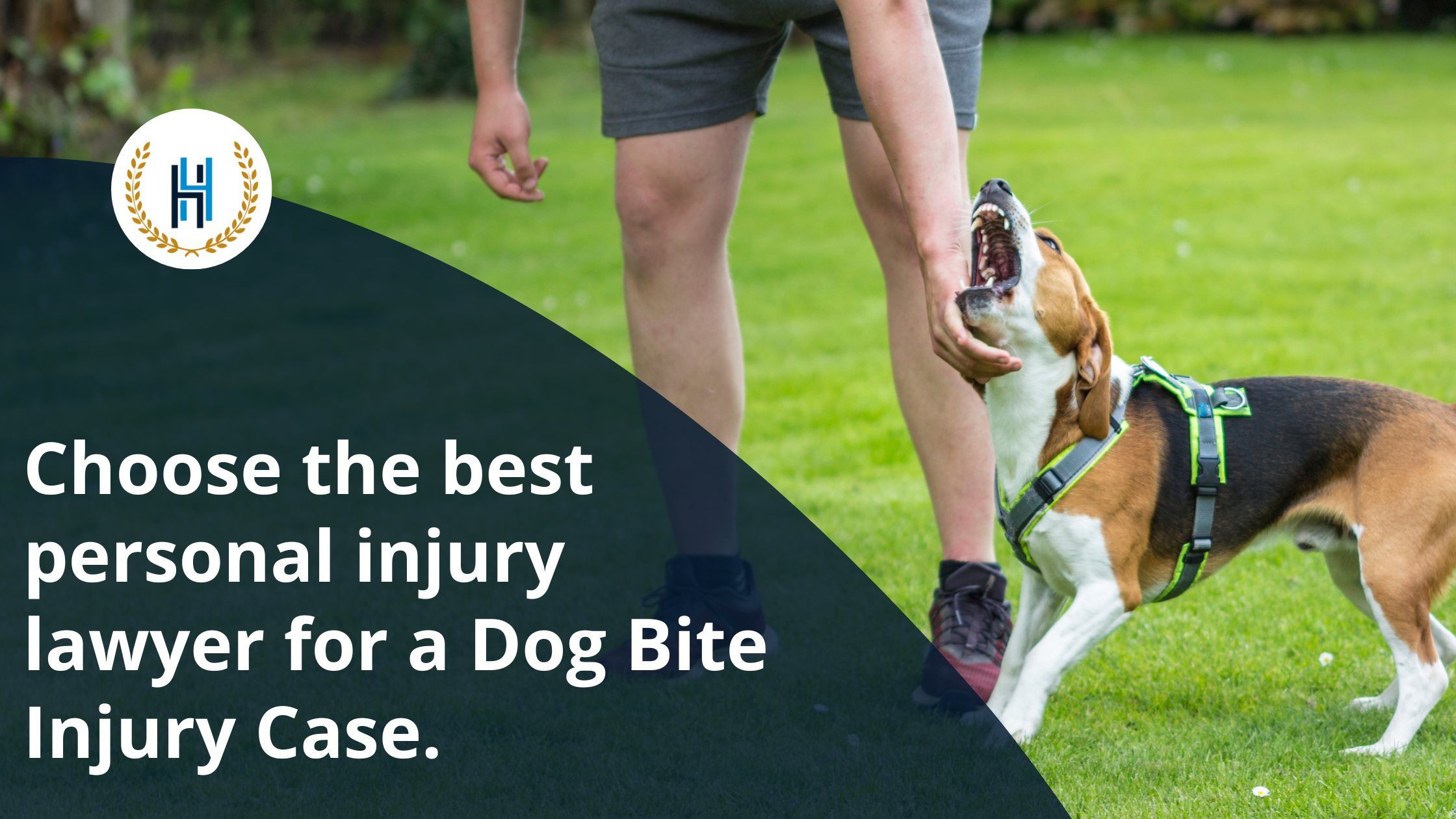 Choose the best personal injury lawyer for a Dog Bite Injury Case.  | 2H Law