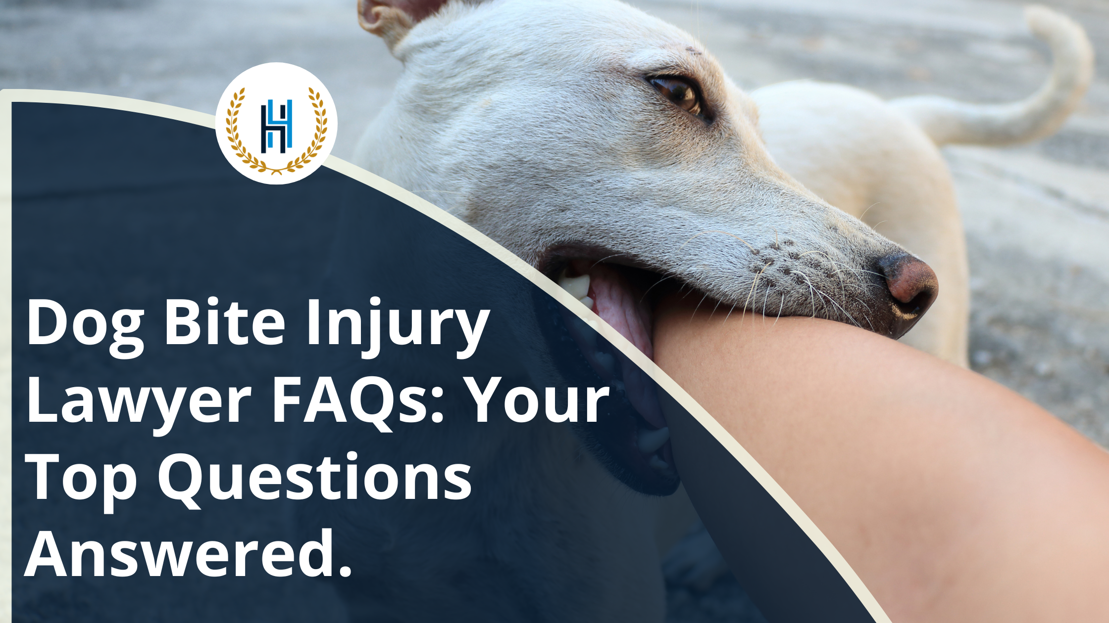 Dog Bite Injury Lawyer FAQs Your Top Questions Answered. | 2H Law