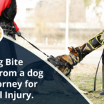 Post-Dog Bite Advice from a dog bite attorney for Personal Injury. | 2H Law