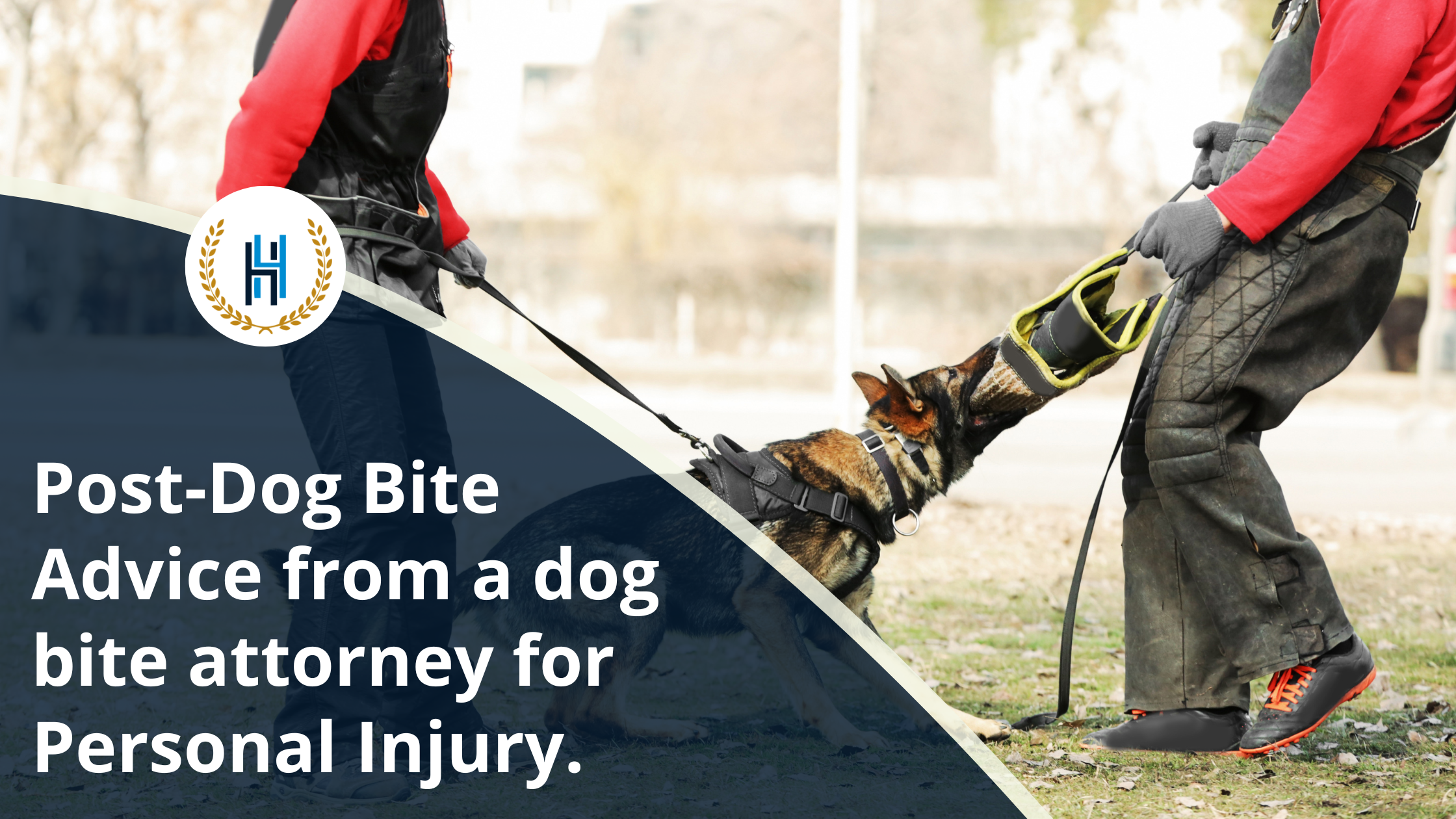 Post-Dog Bite Advice from a dog bite attorney for Personal Injury. | 2H Law