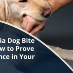 California Dog Bite Law How to Prove Negligence in Your Case. | 2h Law