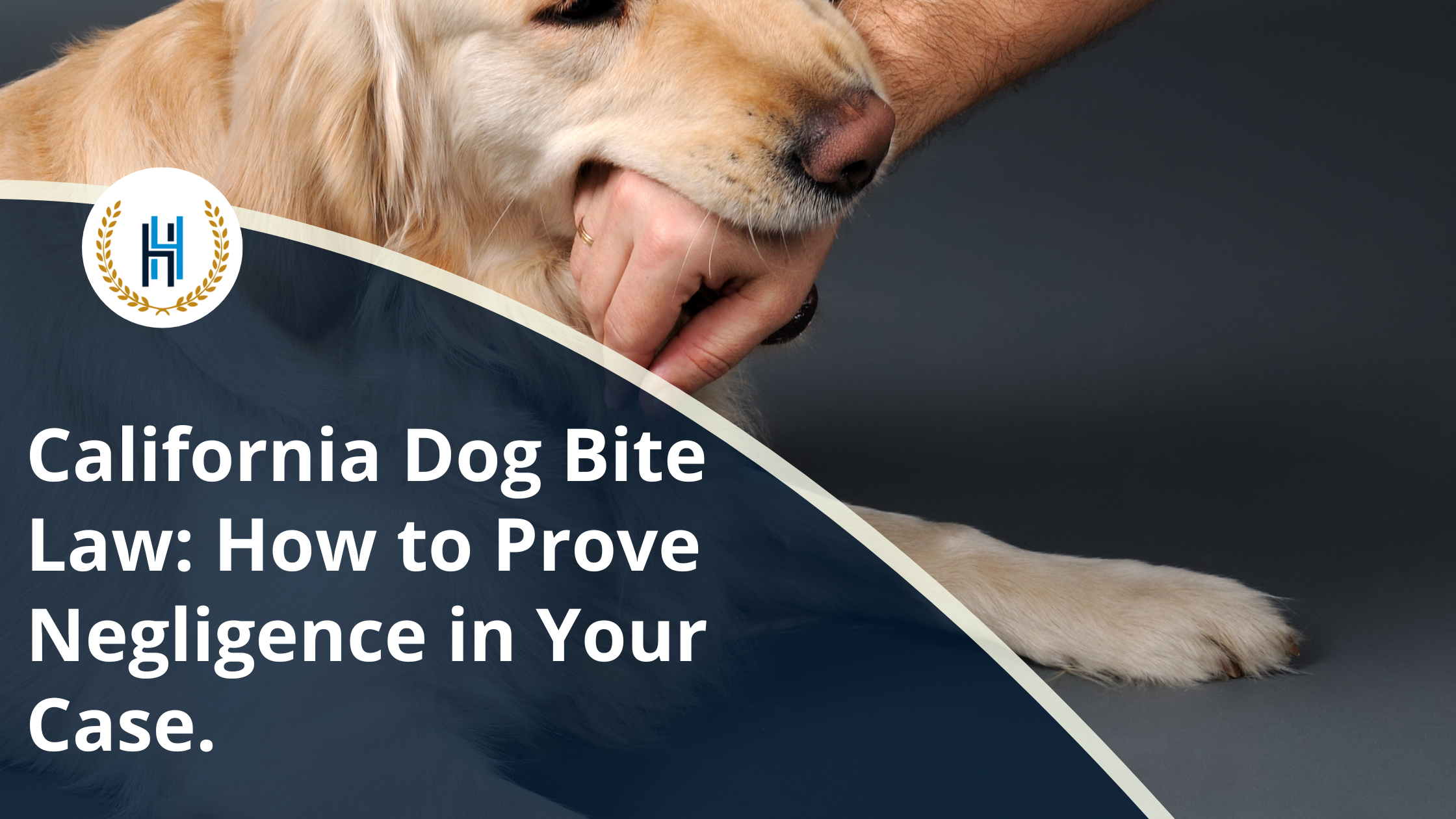 California Dog Bite Law How to Prove Negligence in Your Case. | 2h Law