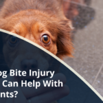 How a Dog Bite Injury Attorney Can Help With Settlements?